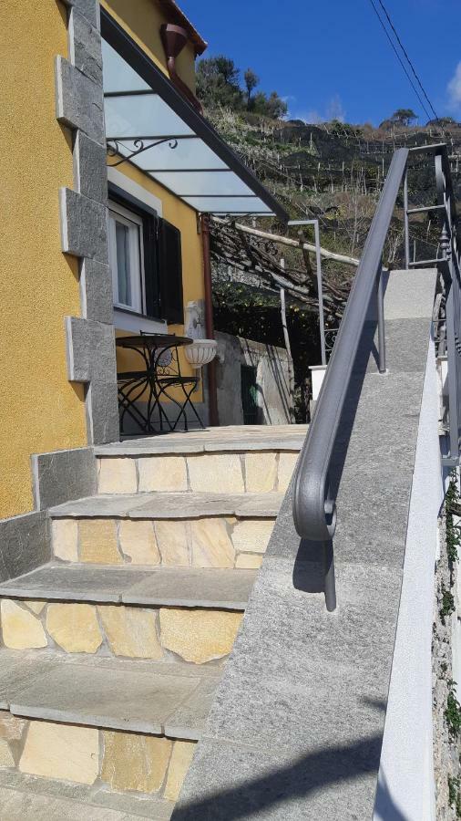 Ferienhaus #la Limonaia Della Torretta *
